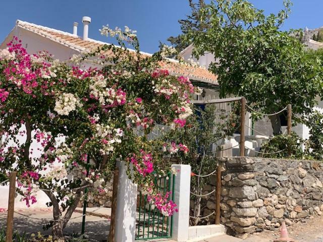 Casa Isabel - La Almona Chica Guest House Ел Чоро Екстериор снимка